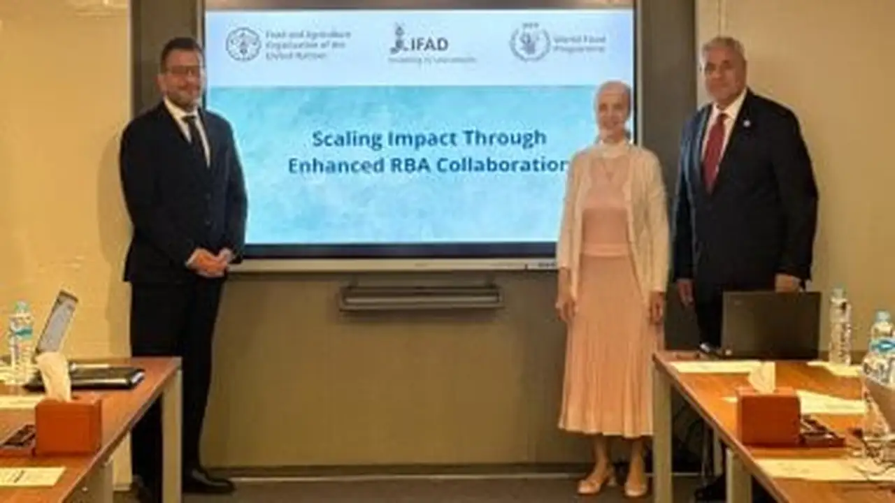 منظمات دولية تشيد بقيادة مصر في مواجهة تحديات الأمن الغذائي العالمية المستمرة